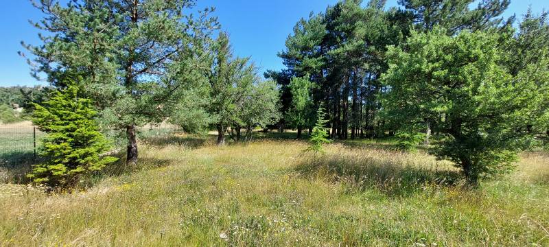 terrain plat boisé à vendre plan d'aups marseille aubagne